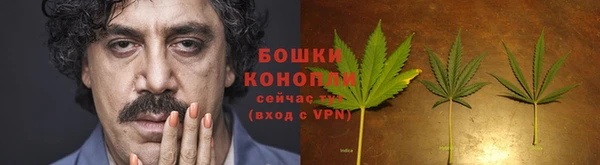 ПСИЛОЦИБИНОВЫЕ ГРИБЫ Снежногорск