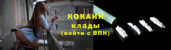 ПСИЛОЦИБИНОВЫЕ ГРИБЫ Снежногорск