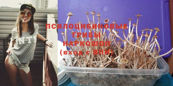 ПСИЛОЦИБИНОВЫЕ ГРИБЫ Снежногорск