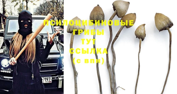 ПСИЛОЦИБИНОВЫЕ ГРИБЫ Снежногорск
