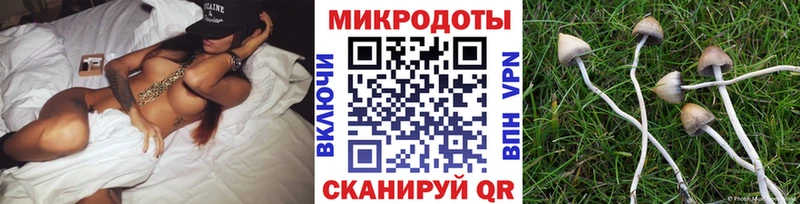 Псилоцибиновые грибы прущие грибы Усмань